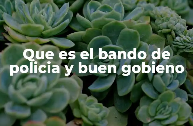 Que es el Bando de Policia y Buen Gobieno