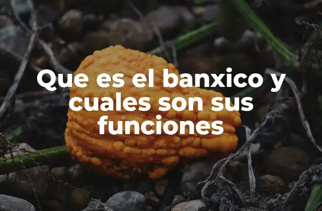 Que es el Banxico y Cuales Son Sus Funciones
