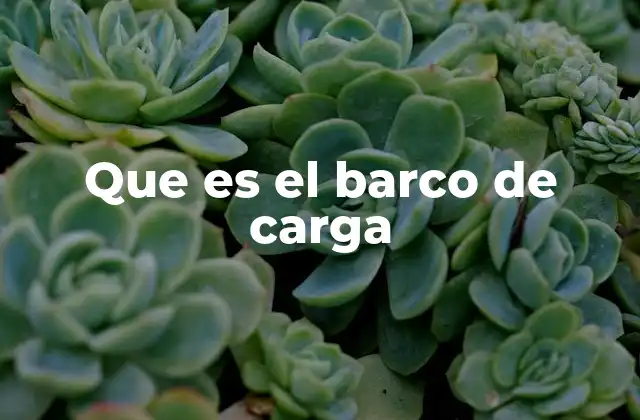 Que es el Barco de Carga