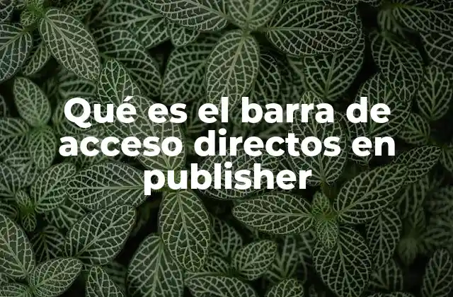 Qué es el Barra de Acceso Directos en Publisher
