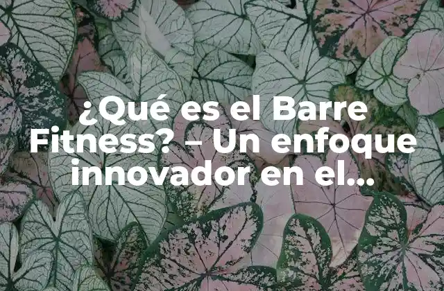 ¿qué es el Barre Fitness? – un Enfoque Innovador en el Entrenamiento Físico