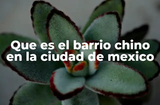 Que es el Barrio Chino en la Ciudad de Mexico
