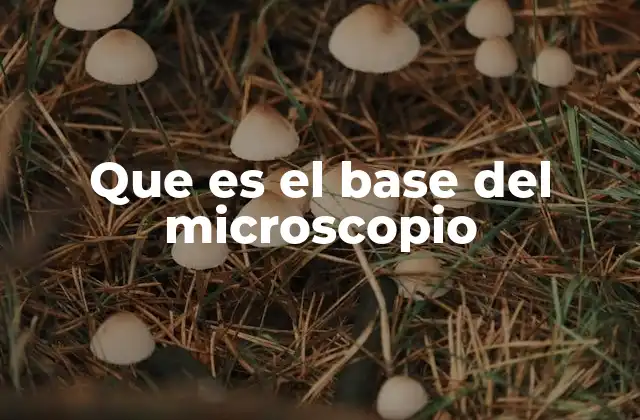 Que es el Base Del Microscopio