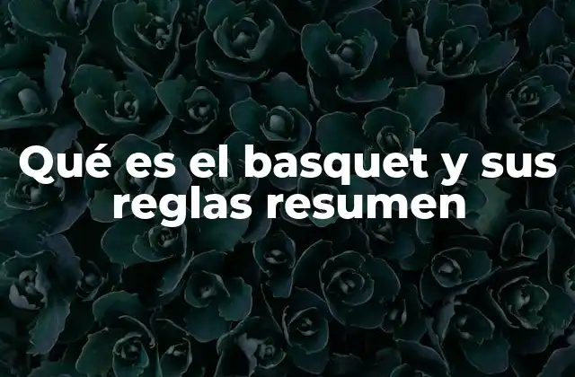 Qué es el Basquet y Sus Reglas Resumen