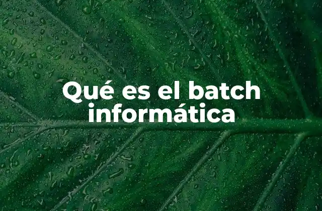 Qué es el Batch Informática