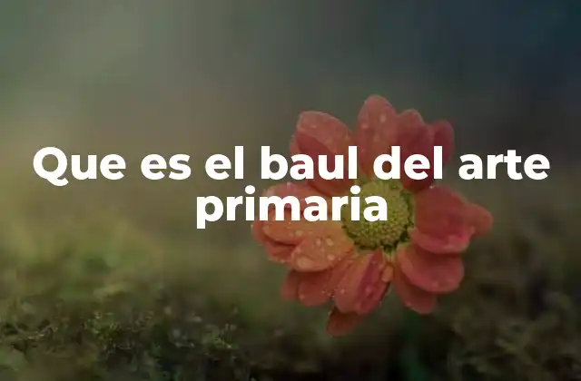 Que es el Baul Del Arte Primaria