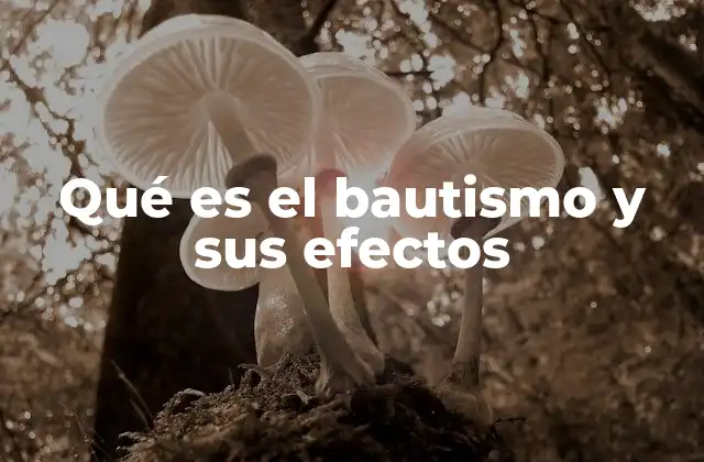 Qué es el Bautismo y Sus Efectos