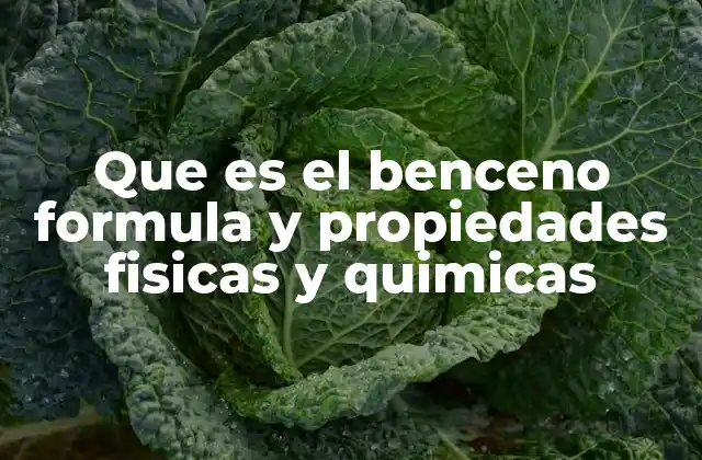 Que es el Benceno Formula y Propiedades Fisicas y Quimicas