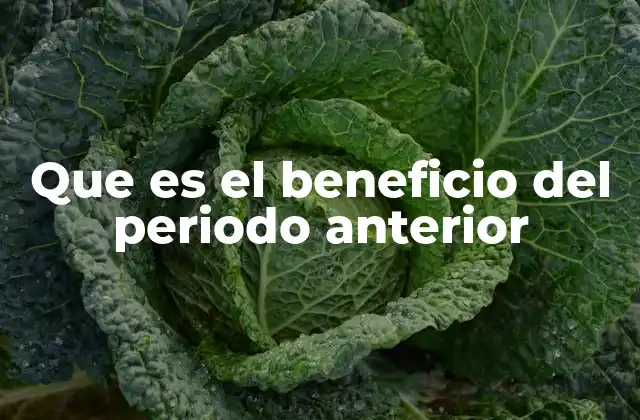 Que es el Beneficio Del Periodo Anterior
