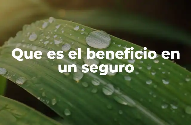 Que es el Beneficio en un Seguro