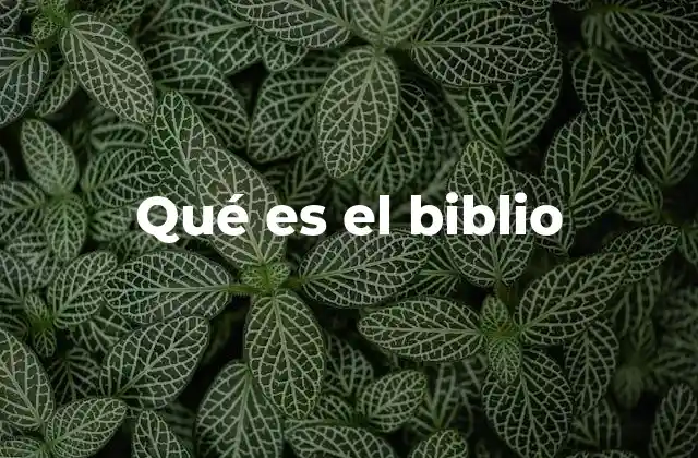 Qué es el Biblio