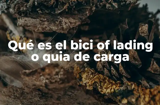 Qué es el Bici Of Lading o Quia de Carga