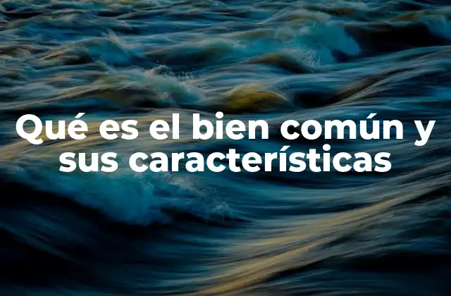 Qué es el Bien Común y Sus Características