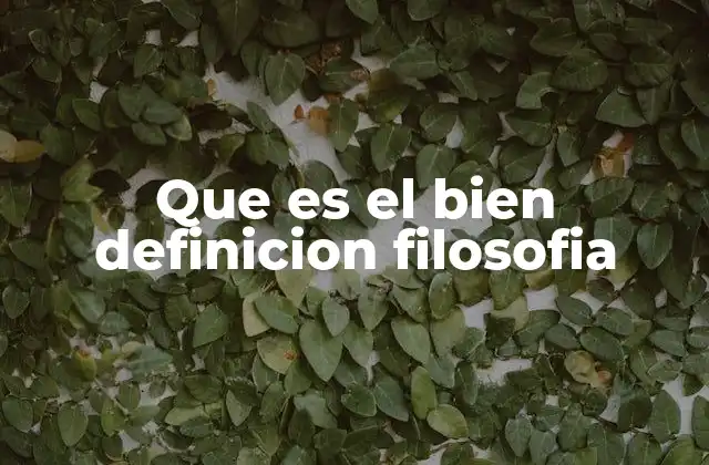 Que es el Bien Definicion Filosofia