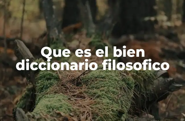 Que es el Bien Diccionario Filosofico