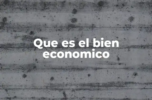 Que es el Bien Economico