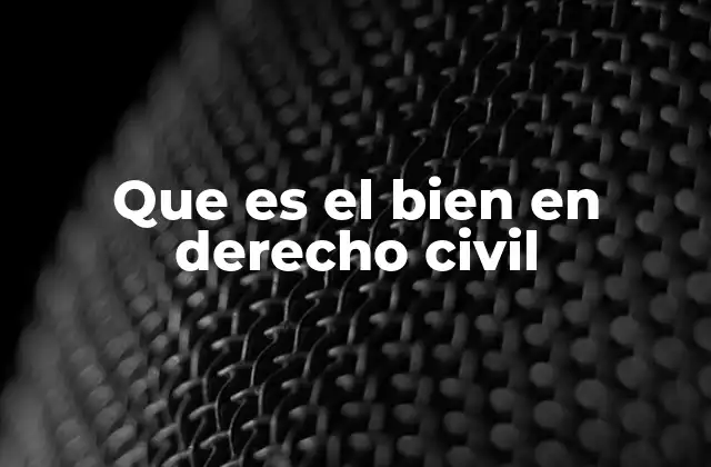 Que es el Bien en Derecho Civil