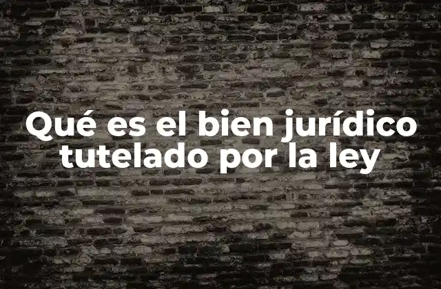 Qué es el Bien Jurídico Tutelado por la Ley