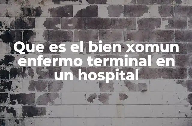 El cuidado integral del paciente terminal en el contexto hospitalario