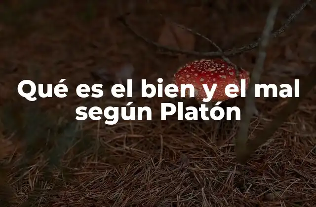 Qué es el Bien y el Mal según Platón