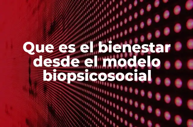 Que es el Bienestar desde el Modelo Biopsicosocial