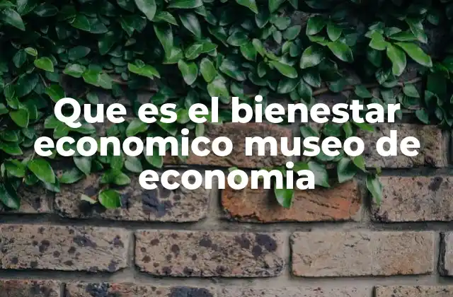 Que es el Bienestar Economico Museo de Economia