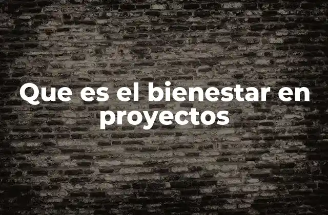 Que es el Bienestar en Proyectos