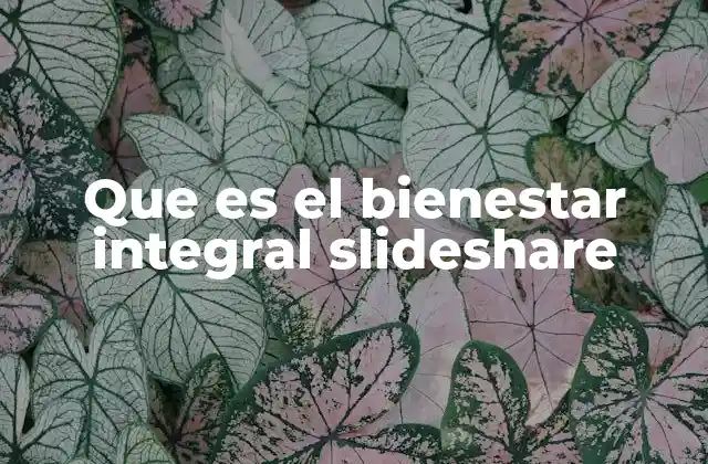 Que es el Bienestar Integral Slideshare