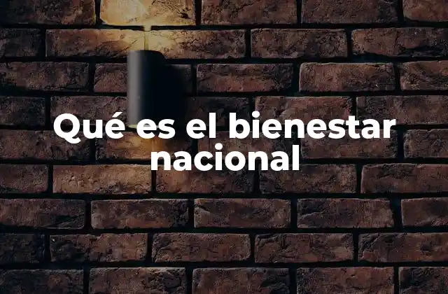 Qué es el Bienestar Nacional