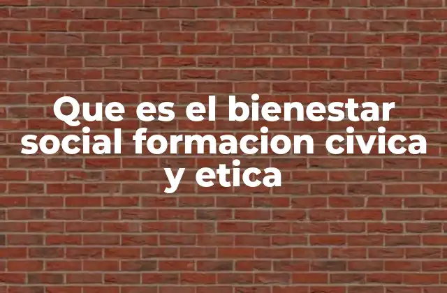 Que es el Bienestar Social Formacion Civica y Etica