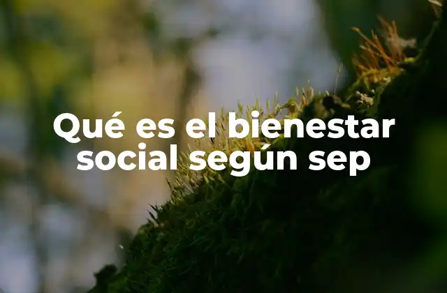 Qué es el Bienestar Social según Sep