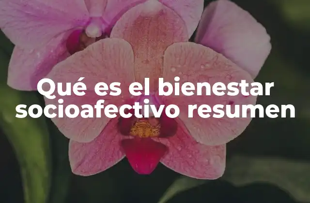 El impacto del entorno en el equilibrio emocional