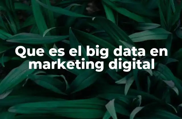 Que es el Big Data en Marketing Digital