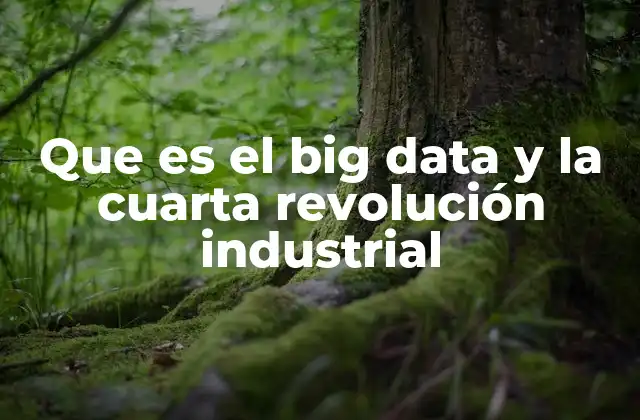 Que es el Big Data y la Cuarta Revolución Industrial