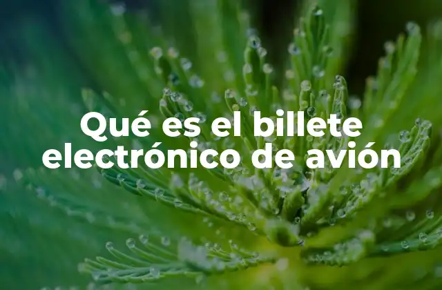 Qué es el Billete Electrónico de Avión