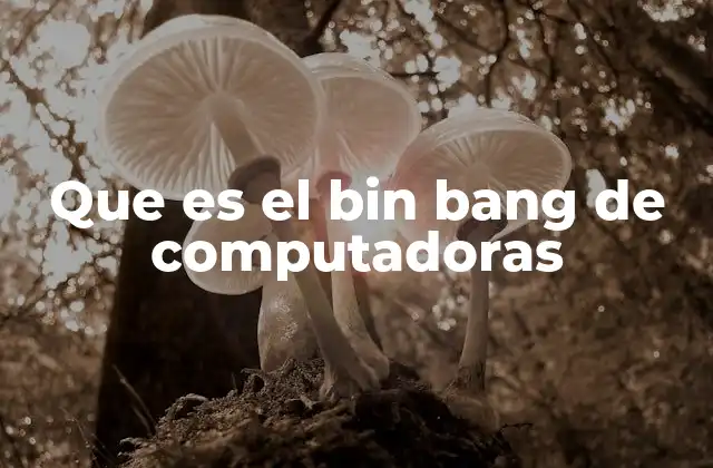 Que es el Bin Bang de Computadoras