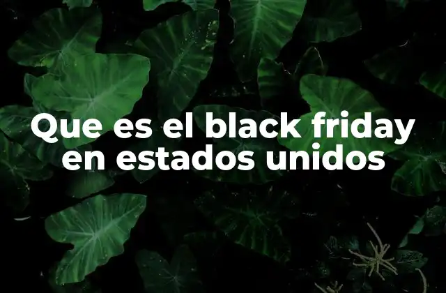 Que es el Black Friday en Estados Unidos