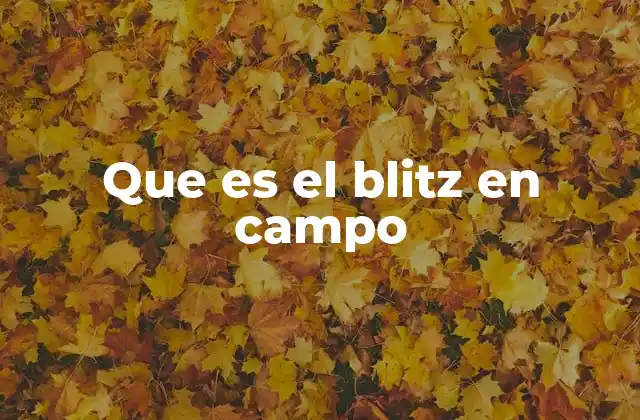 Que es el Blitz en Campo
