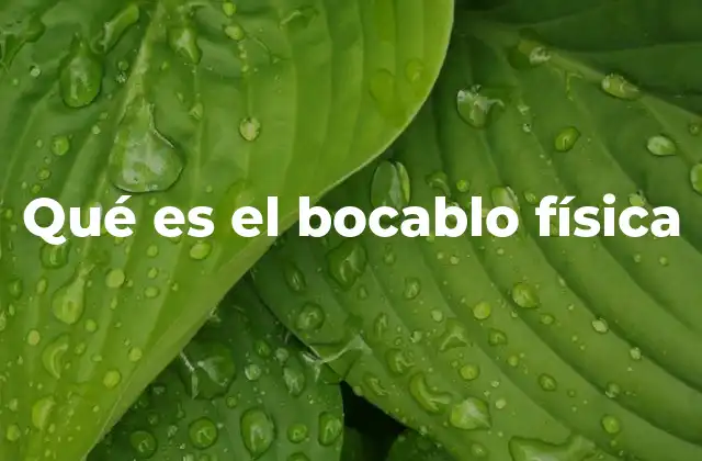 Qué es el Bocablo Física