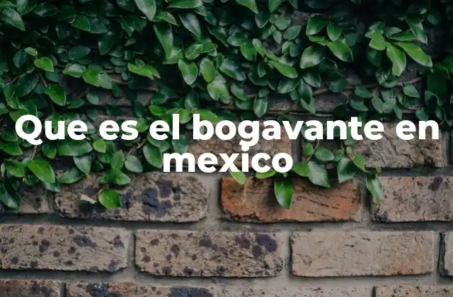 Que es el Bogavante en Mexico