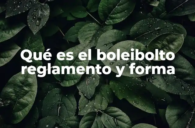 Qué es el Boleibolto Reglamento y Forma 2 La importancia de formalizar el boleibolto correctamente