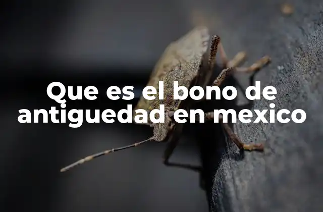 Que es el Bono de Antiguedad en Mexico