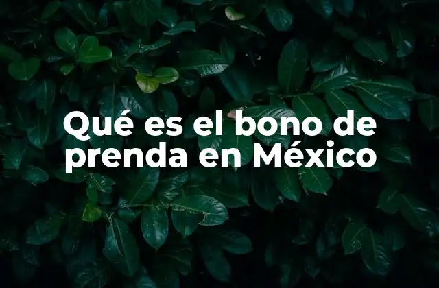 Qué es el Bono de Prenda en México