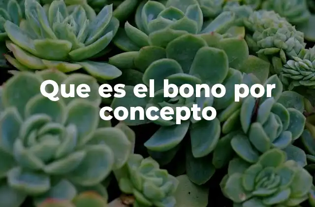 Que es el Bono por Concepto