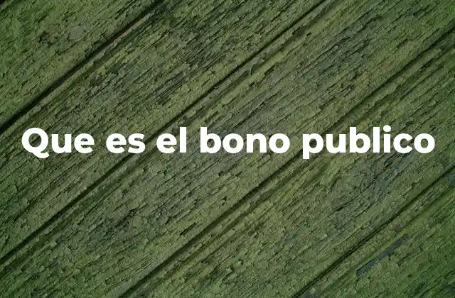 Que es el Bono Publico