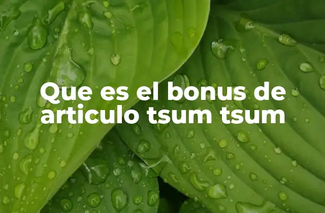 Que es el Bonus de Articulo Tsum Tsum