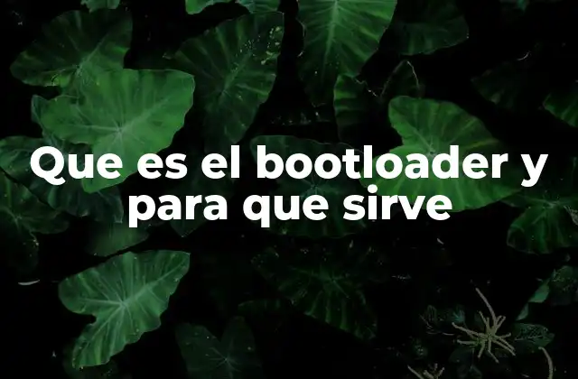 Que es el Bootloader y para que Sirve