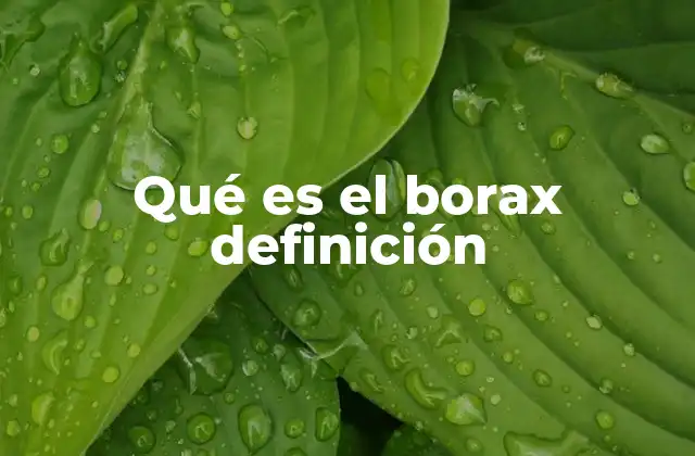 Origen y características químicas del borax