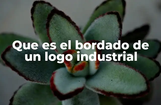 Que es el Bordado de un Logo Industrial