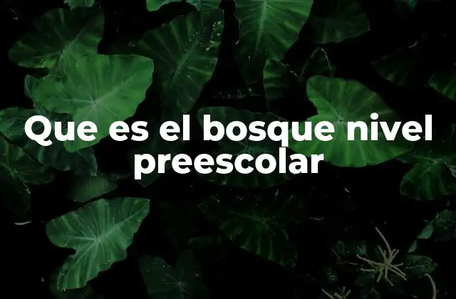 Que es el Bosque Nivel Preescolar